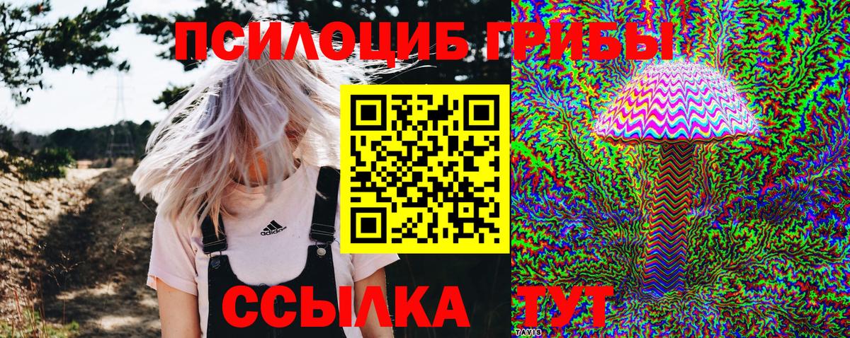Псилоцибиновые грибы MAGIC MUSHROOMS Черногорск
