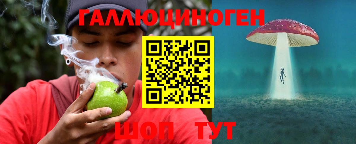 Черногорск  Галлюциногенные грибы Magic Shrooms  Вход с VPN  Псилоцибиновые грибы Psilocybine cubensis 